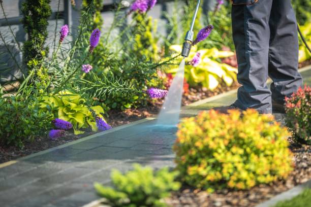 Wilmington, IL Pressure Washing Services Company